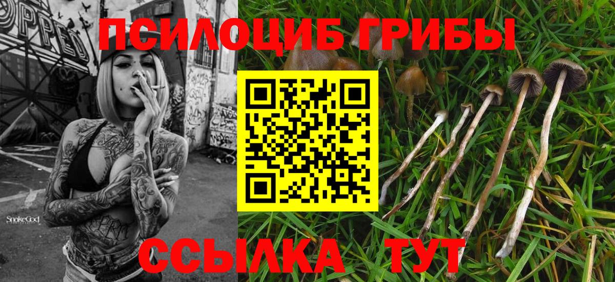 Самара  Галлюциногенные грибы GOLDEN TEACHER  Вход с VPN 