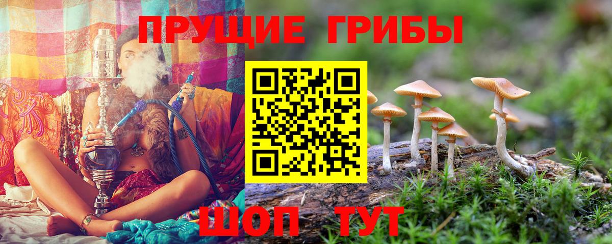 Галлюциногенные грибы ЛСД Самара